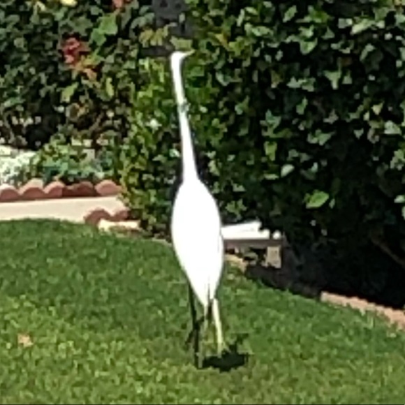 Meet your Posher, Mary - Picture 1 of 1